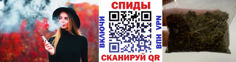 мега рабочий сайт  Полярные Зори  БУТИРАТ буратино  закладка 