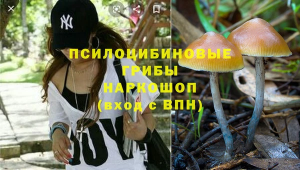 трава Новодвинск