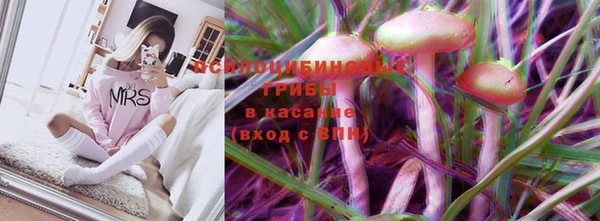 СК Новокубанск